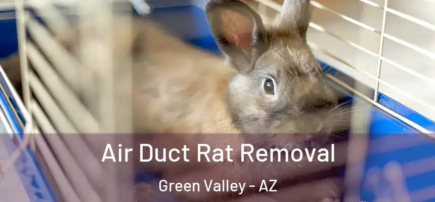 Air Duct Rat Removal Green Valley - AZ