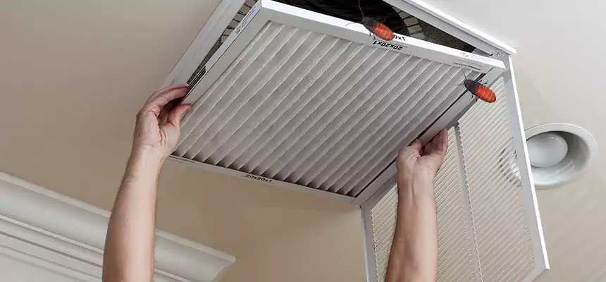 Preventive Cockroach-Proofing for Ducts in Green Valley