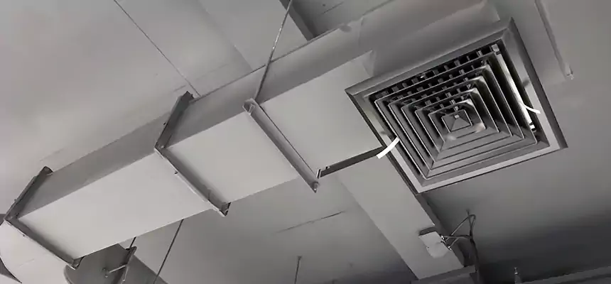 Restorative Allergy Relief Vent Cleaning – Coil, Blower & Housing Detail in Green Valley