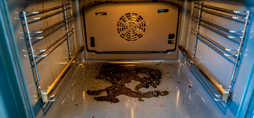 Our Dryer Vent Mold Cleaning Services in Green Valley, AZ