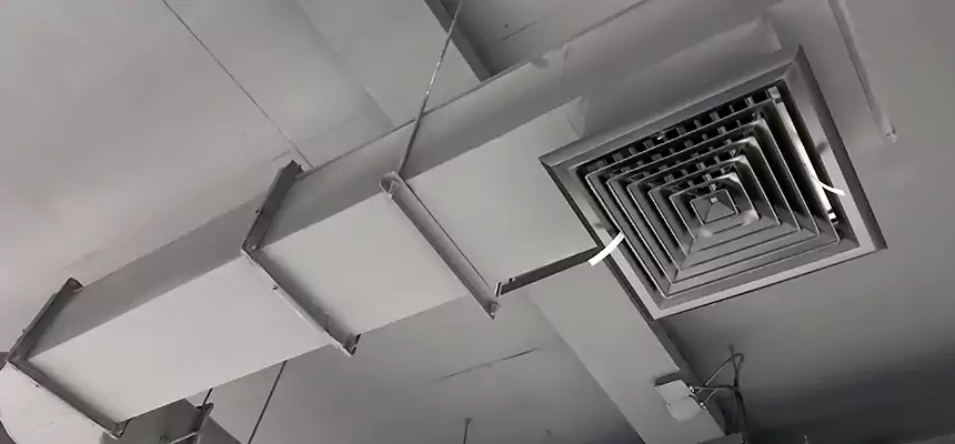 Our Pest Removal From Ducts Services in Green Valley, AZ