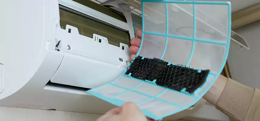 Gentle Ductwork Odor-Control Pet Dander Duct Cleaning in Green Valley, AZ