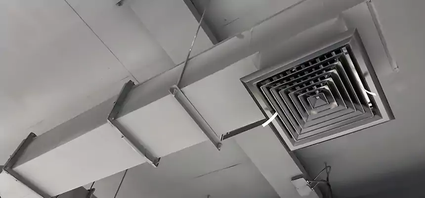 Our Rodent Droppings In Vents Services in Green Valley, AZ