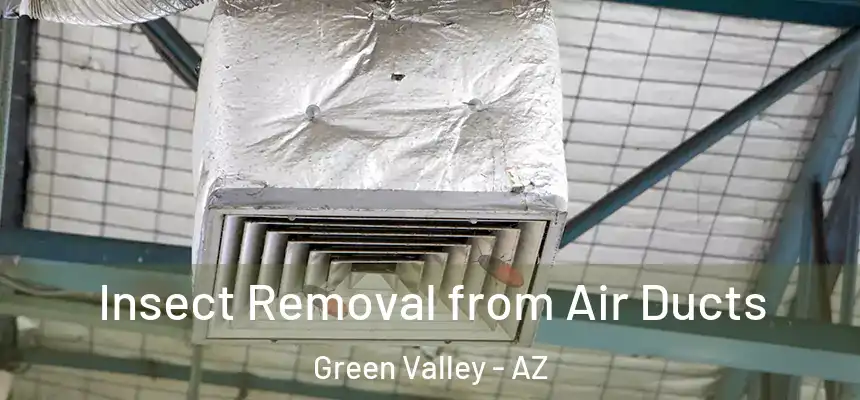  Insect Removal from Air Ducts Green Valley - AZ