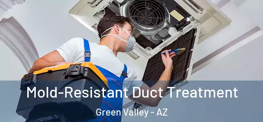 Mold-Resistant Duct Treatment Green Valley - AZ