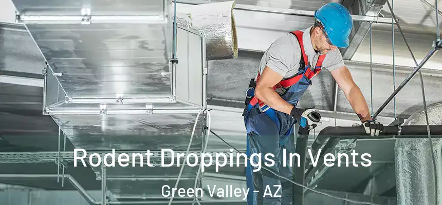Rodent Droppings In Vents Green Valley - AZ