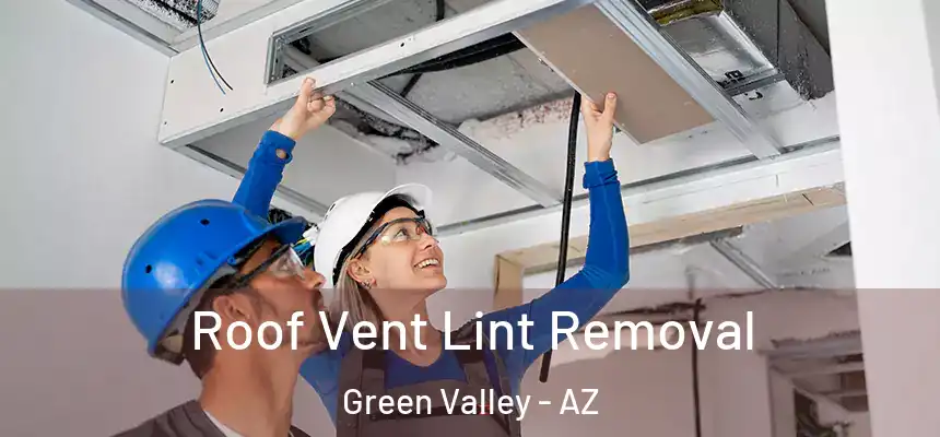 Roof Vent Lint Removal Green Valley - AZ