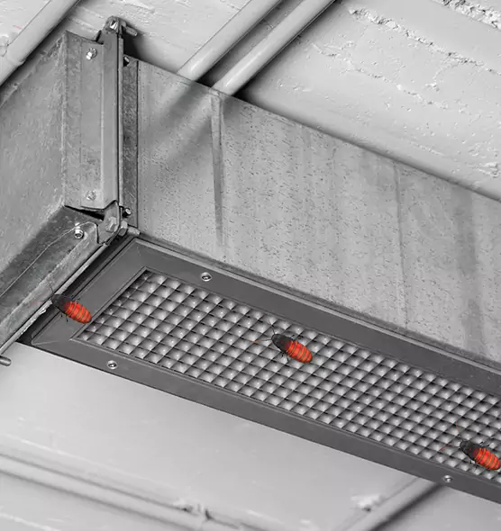 About Air Duct Cockroach Removal in Green Valley, AZ