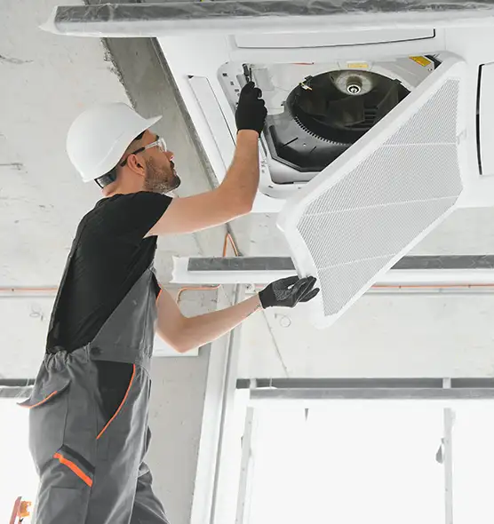 About Air Duct Rodent Removal in Green Valley, AZ