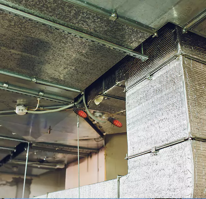 Why Homeowners & Businesses Trust Us in Green Valley, AZ?