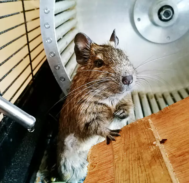 Why Homeowners & Businesses Trust Us Green Valley, AZ