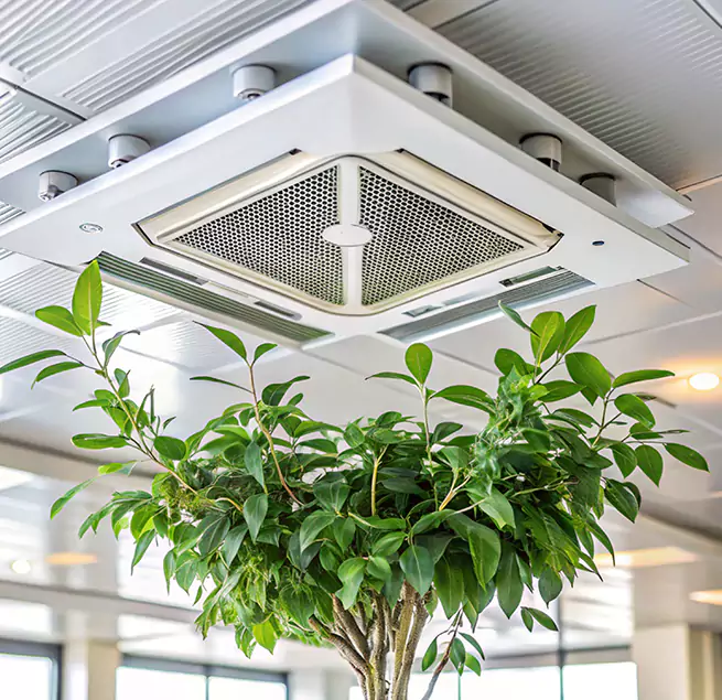 Why Homeowners & Businesses Trust Us in Green Valley, AZ?