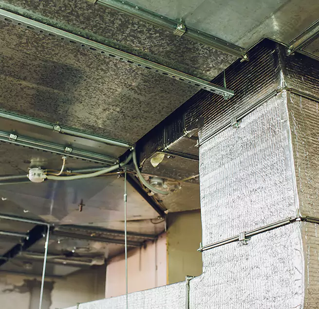 Why Homeowners & Businesses Trust Us in Green Valley, AZ?