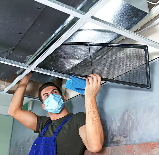 Why Homeowners Businesses Trust Us in Green Valley, AZ